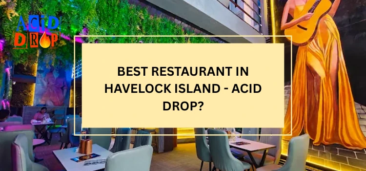 Best Restaurant In Havelock Island - Acid Drop?